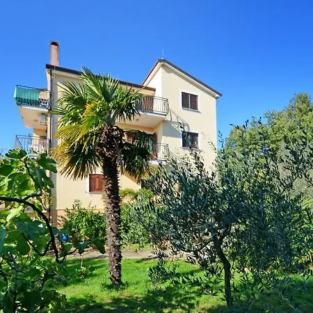 With Pool Albina 3 Appartement