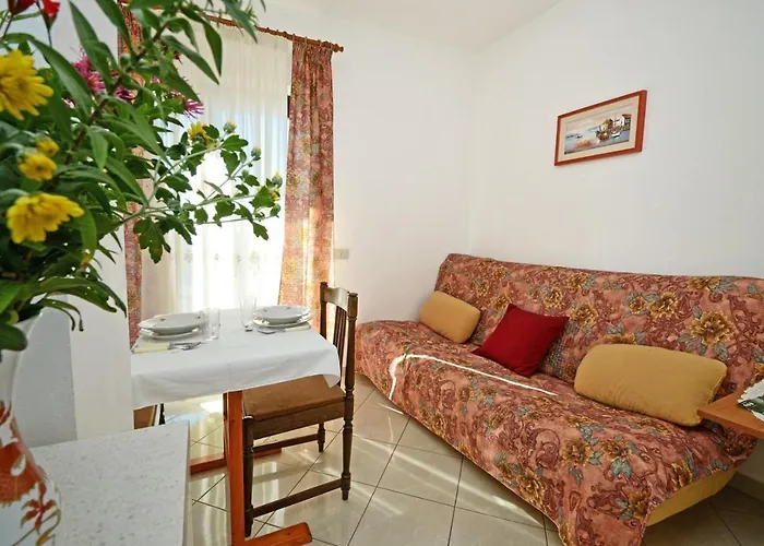 With Pool Albina 3 Apartman